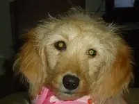 stella 004.webp