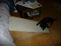 milo9mo005.webp