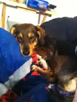 winnie.webp winnie.webp