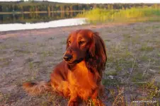 IMGP2347.webp
