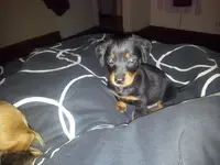20120708_212736.webp