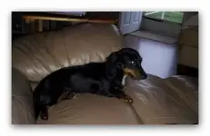 Maya July 2010.webp