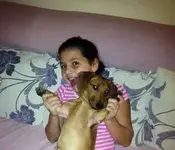 ImageUploadedByTapatalk1351261112.710244.webp
