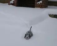 heavy snow.webp