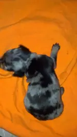 2012-11-17_00-19-31_102.webp