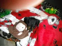 DSCF0096.webp