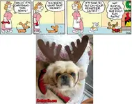 doxie cartoon1.webp