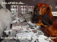 jul.webp