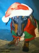 wienerxmas.webp