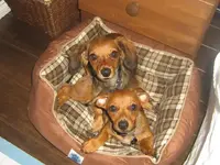 2009 279.webp