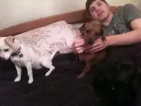 All three puppies.webp