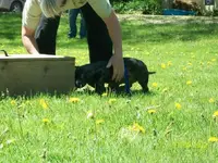 897_0981.webp