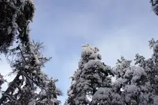 IMGP0314.webp