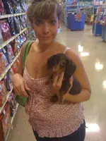 cocoa puppy.webp