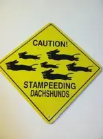 Stampeding dachshunds!.webp