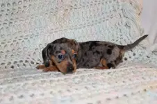 Izzy 3 3 13 (2).webp