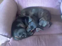 022313151517.webp 022313151517.webp