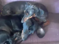 022313151544.webp 022313151544.webp