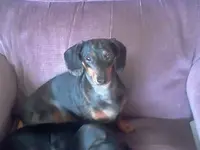 022313151907.webp 022313151907.webp