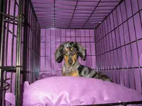 IMG_0196.webp IMG_0196.webp