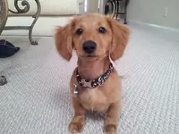 20130324_161440.webp