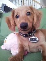 20130331_173048.webp
