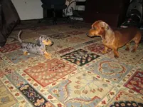 IMG_0179.webp