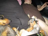 izzy (8).webp