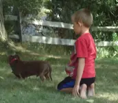 Otis and Daisey 004.webp