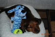 906130_10200188336323539_949238911_o.webp