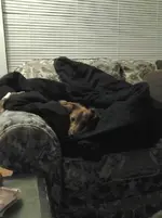 20130529_231115.webp