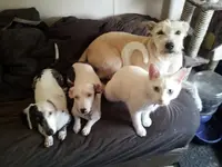 20130718_183622.webp