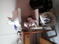 20130726_171157.webp