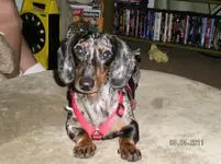 SANY0002 (2).webp