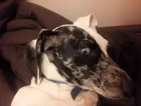 20130730_224326.webp