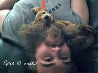 piper beard.webp