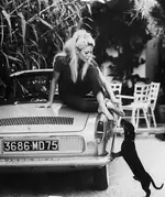 Bridget Bardot.webp