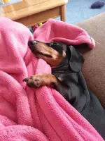 20130320_120217.webp