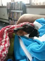 20130716_190332 (2).webp