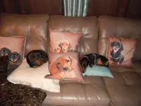 DSCF0333.webp