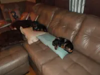DSCF0330.webp