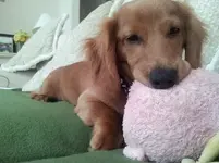 20130424_130034.webp