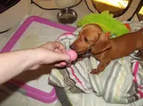 Dscf0846.webp