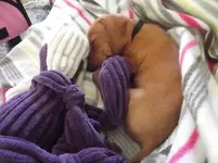 Dscf0853.webp