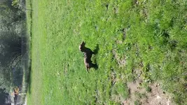 20130819_134553.webp