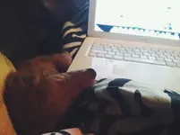 piper computer.webp