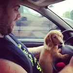piper drives.webp