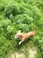 iphonemyphone 026.webp