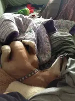 iphonemyphone 014.webp