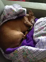 iphonemyphone 011.webp